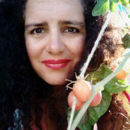 tomates 1